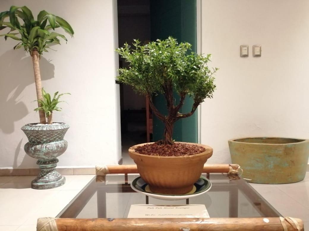 Pule Pule Hostal Boutique Guadalajara Dış mekan fotoğraf